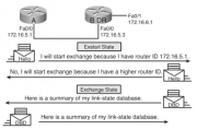 Файл:180px-OSPF discovering network routes.png