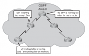 Файл:180px-LargeOSPF network.png