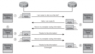 Файл:320px-Initial route discovery.png
