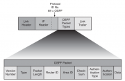 Файл:180px-OSPF packet header format.png